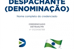Detran_modelo3_1x1m
